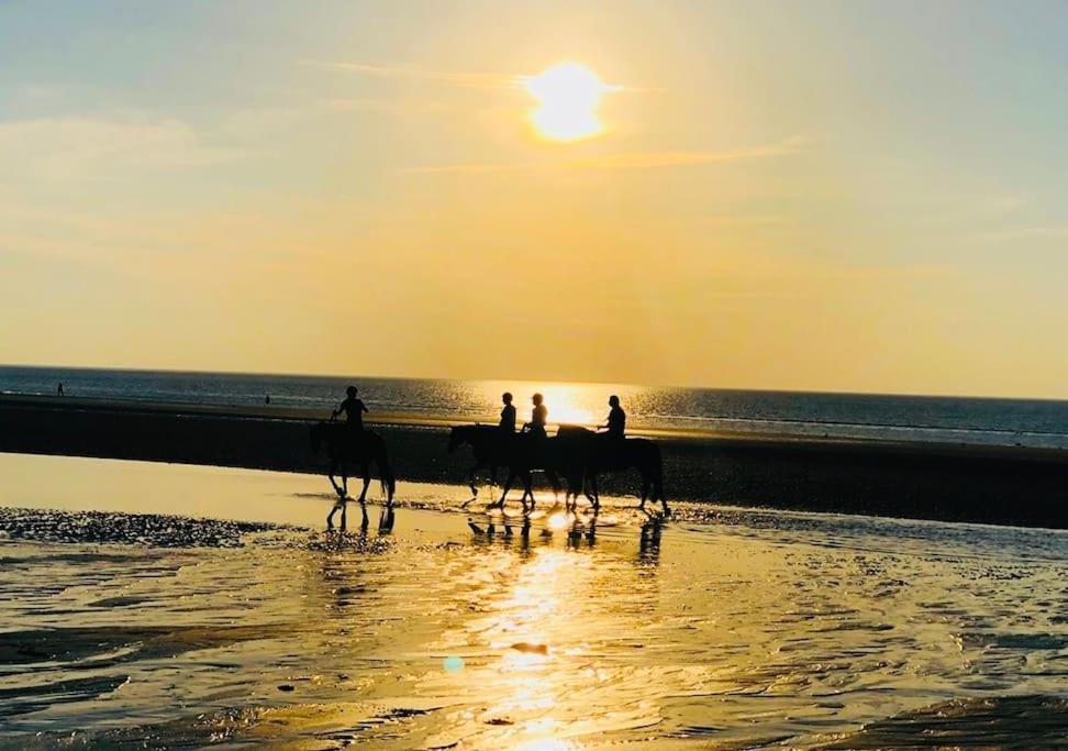 Le Camaieu Deauville Kültér fotó